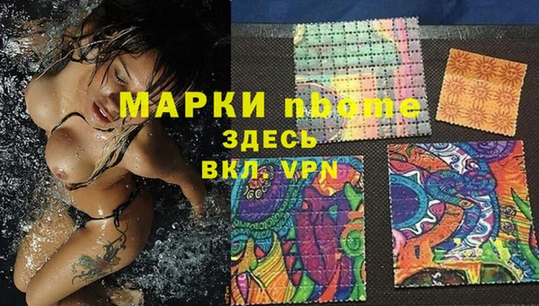 шишки Абаза
