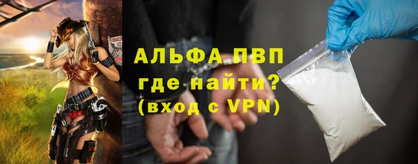 шишки Абаза