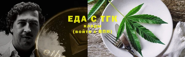 шишки Абаза