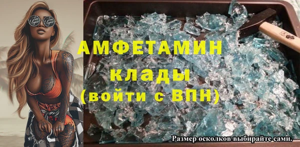 шишки Абаза