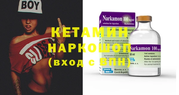 шишки Абаза