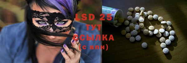шишки Абаза