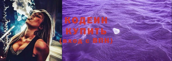 шишки Абаза