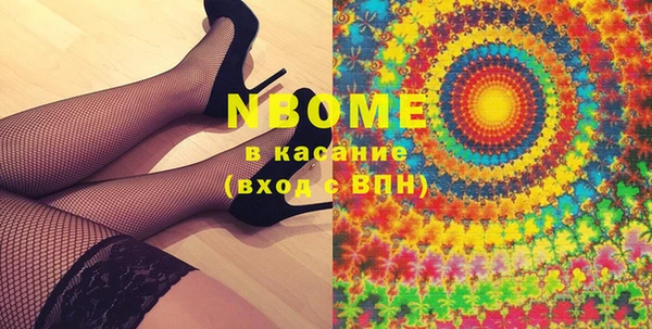 шишки Абаза