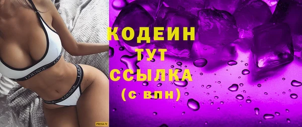 шишки Абаза