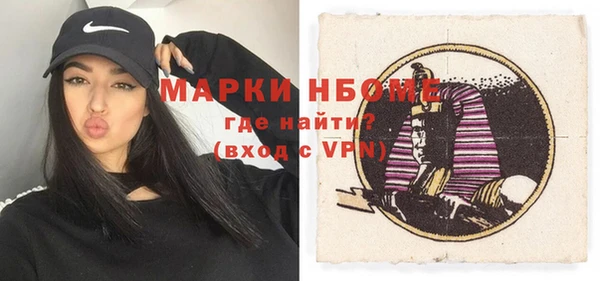 шишки Абаза