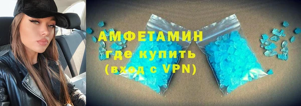 шишки Абаза