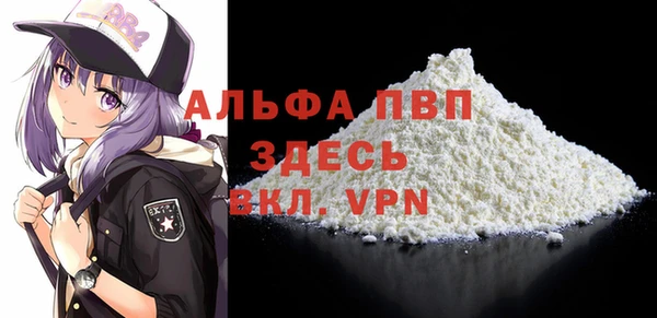 шишки Абаза