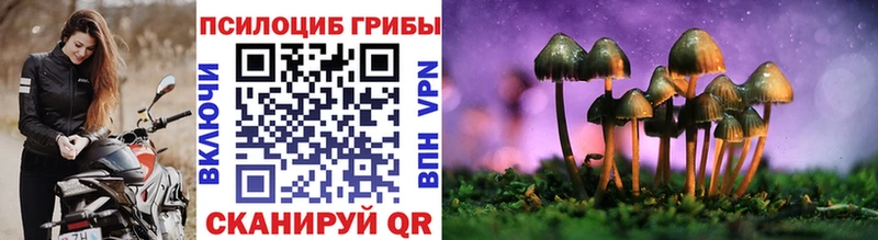 блэк спрут ONION  Ханты-Мансийск  Псилоцибиновые грибы Cubensis  наркотики 